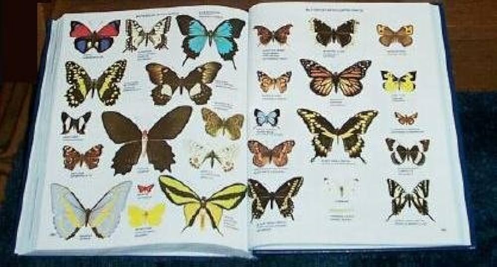 The New Standard Encyclopedia Book Set with World Maps